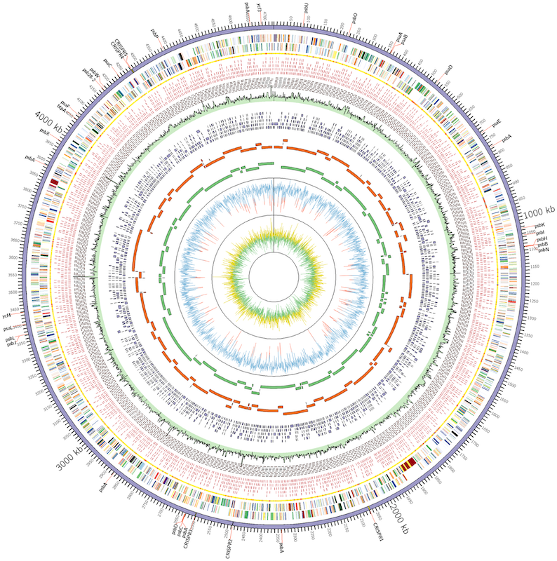 Genome Circle
